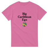 8d2e5ac9-f11b-4007-8ee1-d225aa708e60